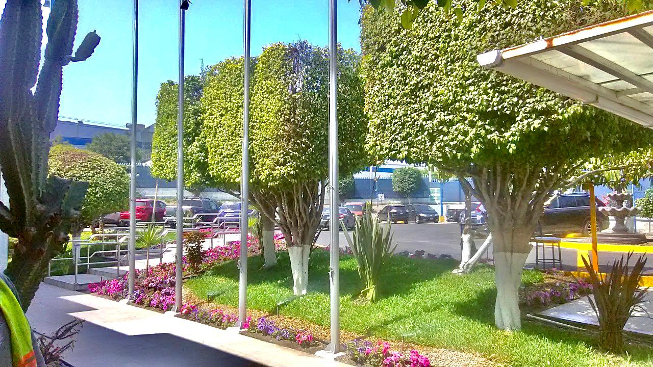Jardineria, landscaping, decoracion en tijuana