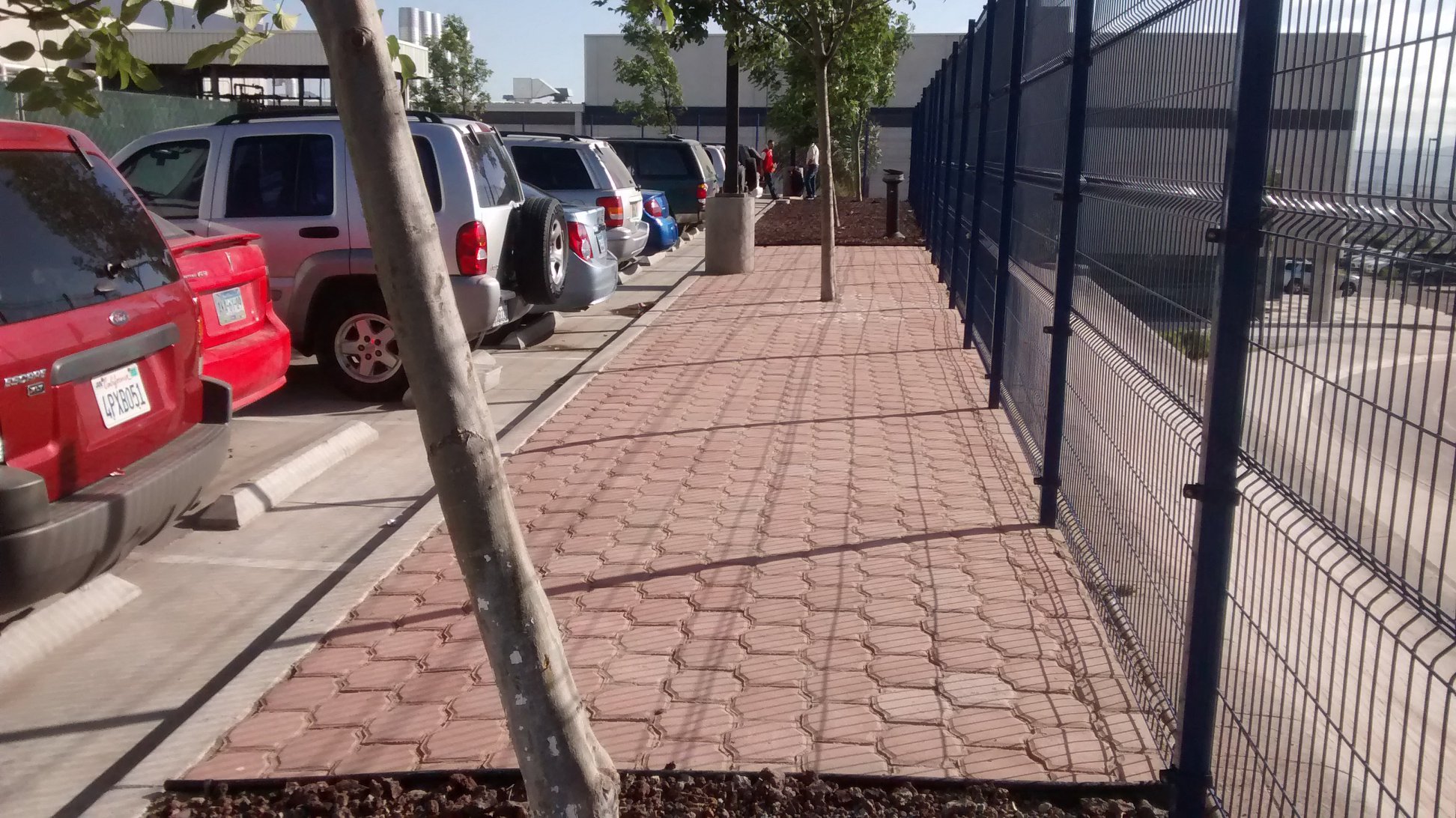 Instalacion de adoquin en tijuana