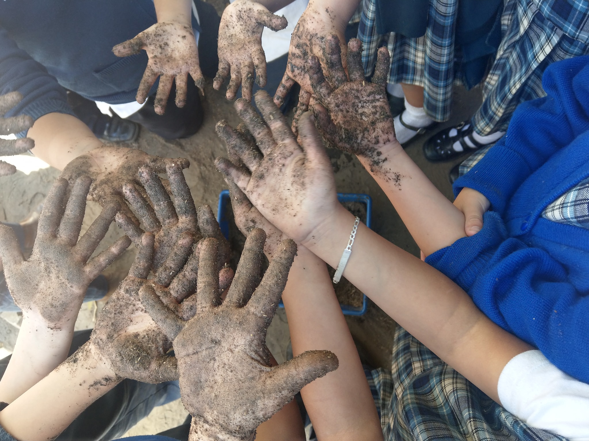 Niños aprendiendo jardineria